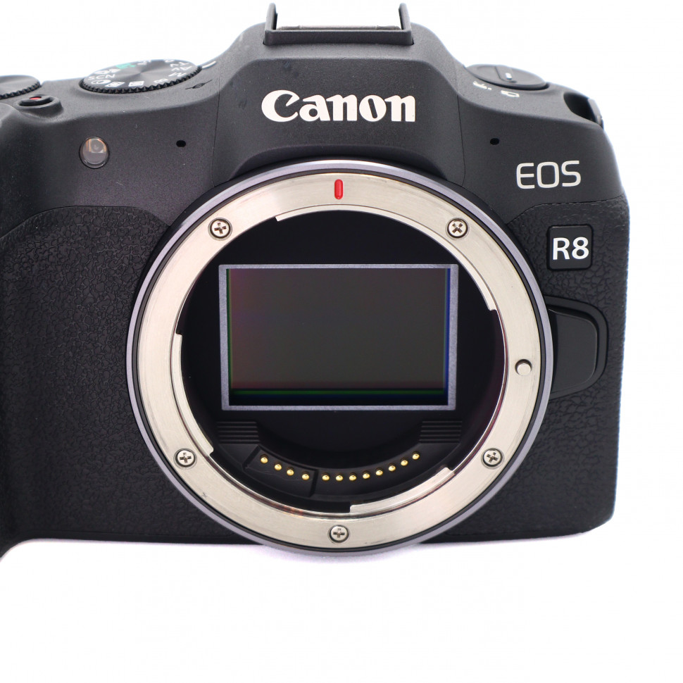 Canon EOS R8 (53.000 кадров)