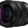 Panasonic S9 body + 28-200mm