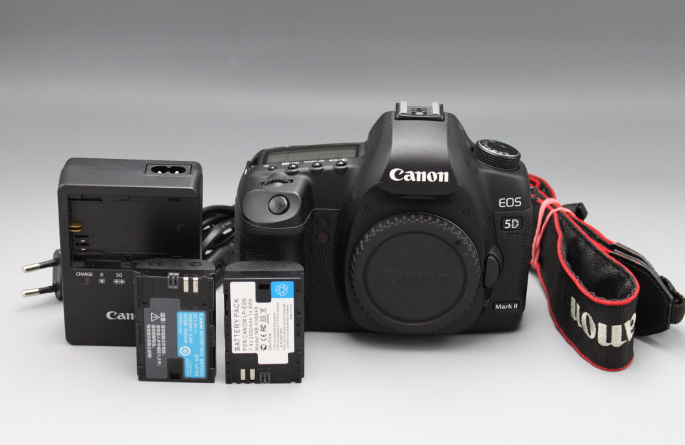 Canon EOS 5D Mark II (42500 кадров)