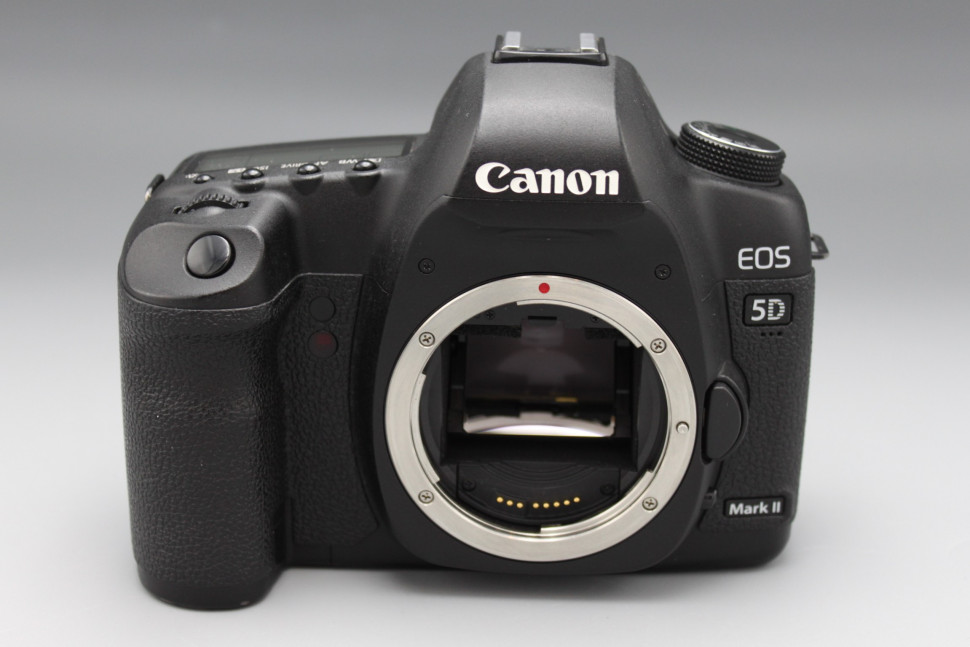 Canon EOS 5D Mark II (42500 кадров)