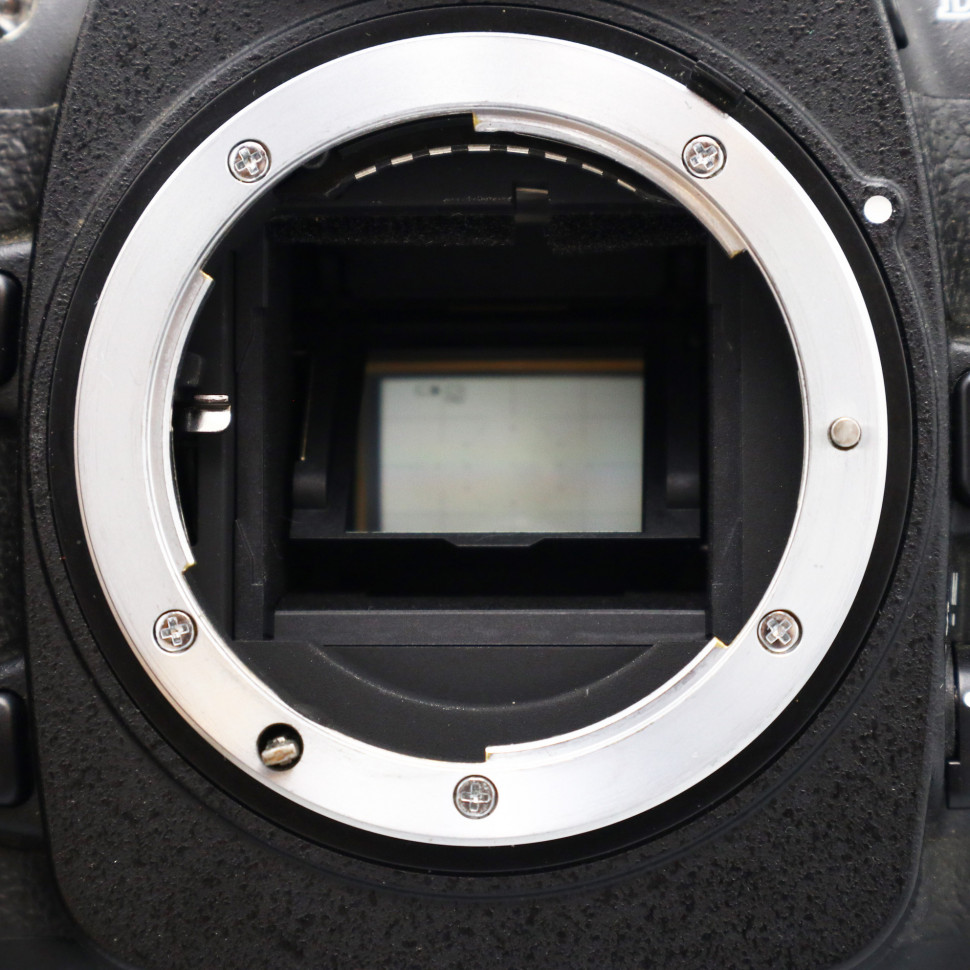 Nikon D200 (53.000 кадров)