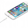 Кабель Apple USB-Lightning 1m MXLY2ZM/A, белый