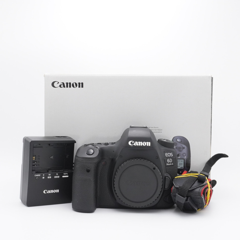 Canon EOS 6D Mark II  (61000 кадров)