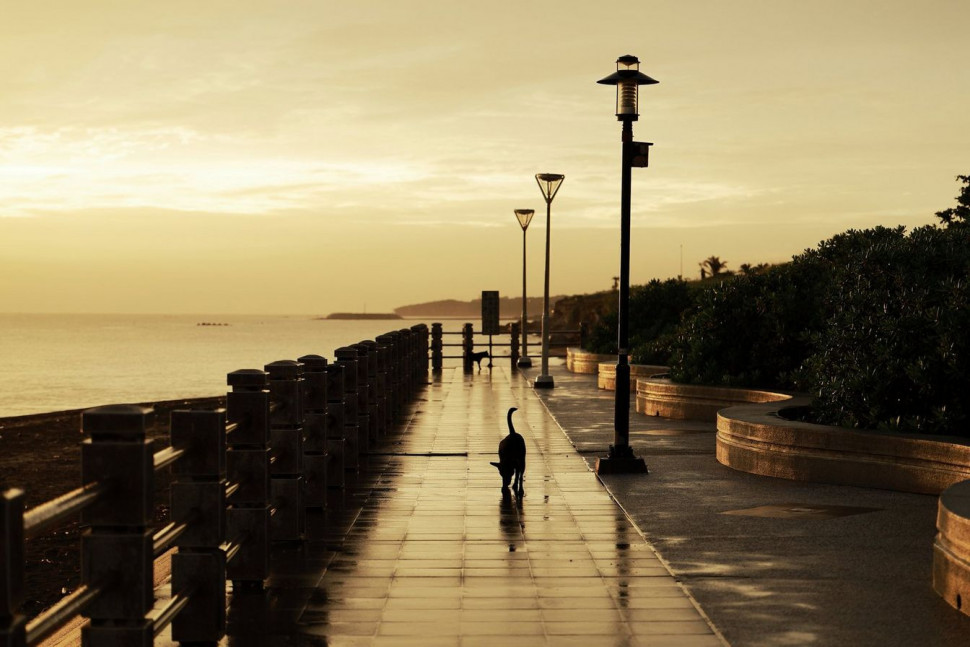 Canon RF 28-70mm f/2.8 IS STM (витринный экземпляр)