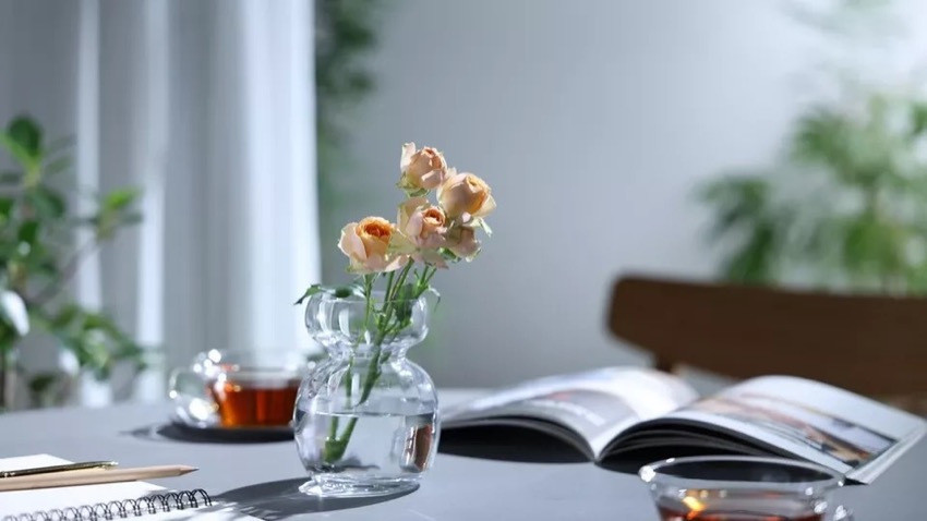 Canon RF 28-70mm f/2.8 IS STM (витринный экземпляр)