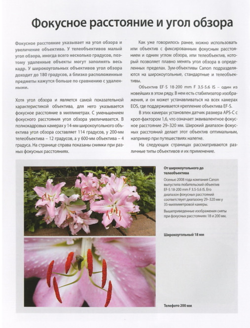Книга Canon "Путь к совершенству"