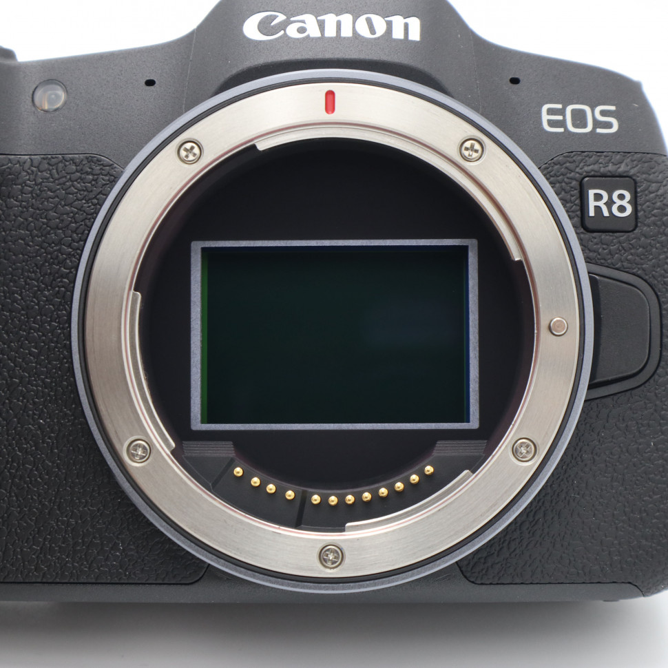 Canon EOS R8 (2.000 кадров)