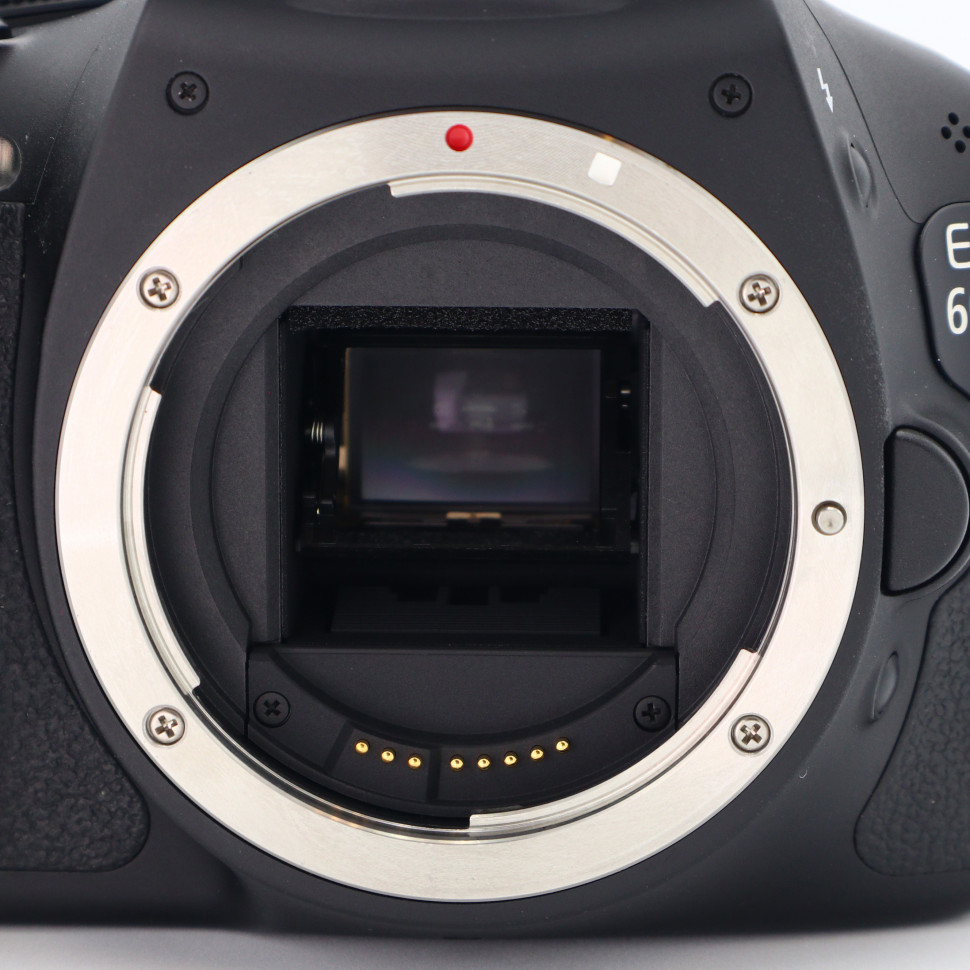 Canon EOS 600D (17.900 кадров)