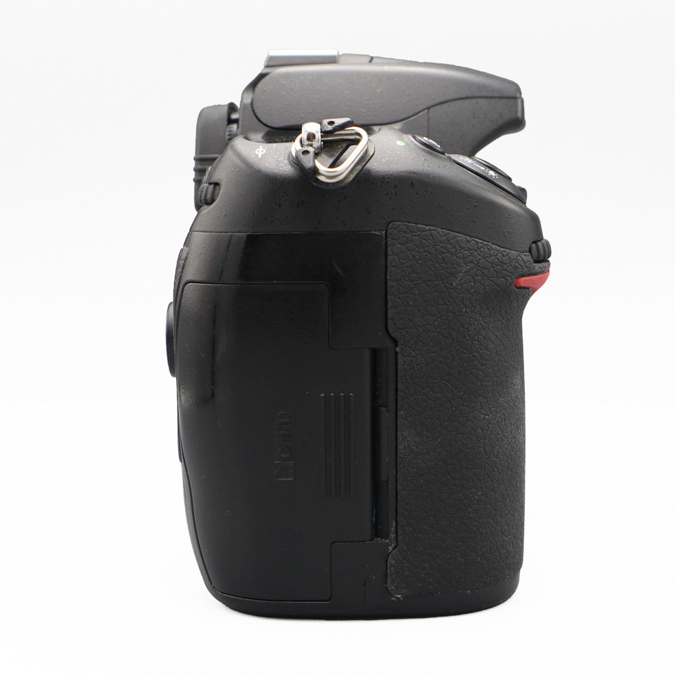 Nikon D300S (111 тыс. кадров)