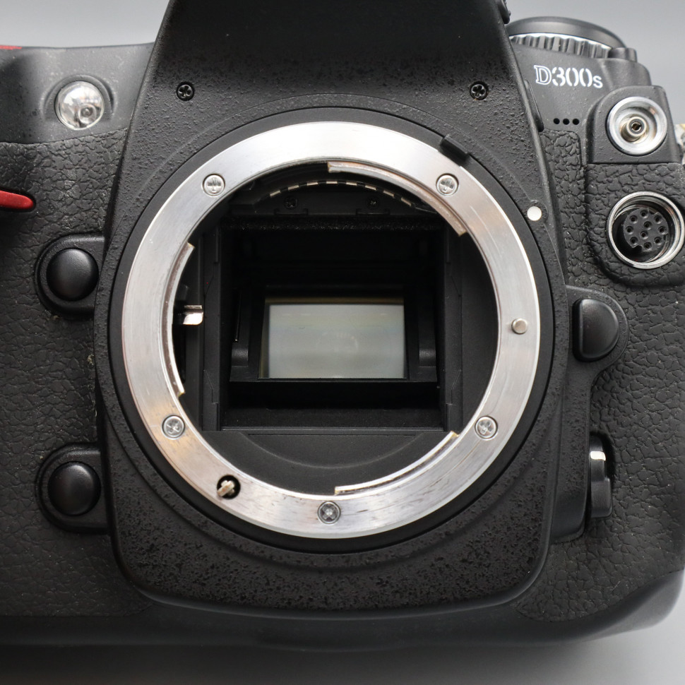 Nikon D300S (111 тыс. кадров)