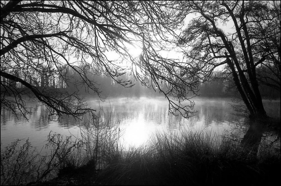 Фотопленка Fomapan 200/36