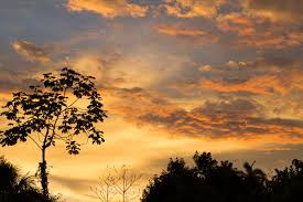 Cokin P662 градиент оранжевый (состояние 4)