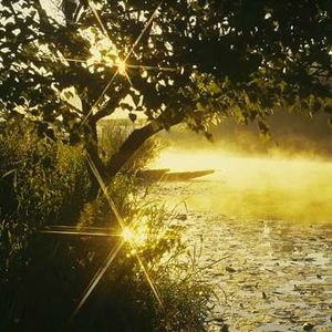 Fujimi Rotate Star-6 62mm (витринный)