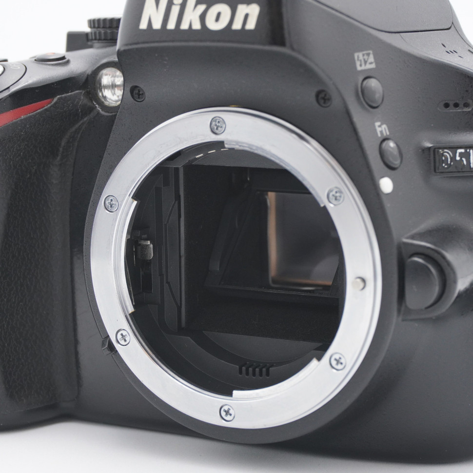 Nikon D5100 (48.000 кадров)