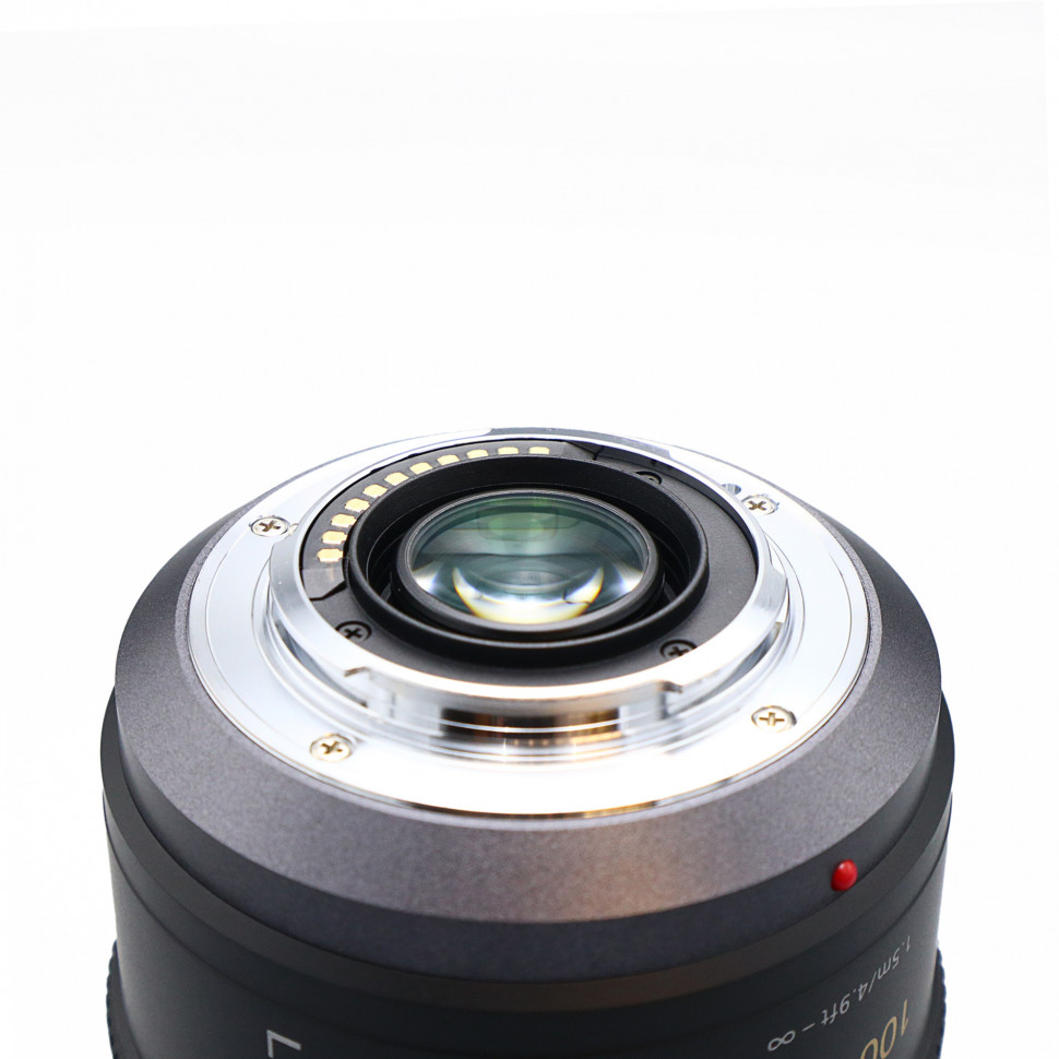 Panasonic Lumix 100-300mm f/4-5.6 OIS (состояние 5)