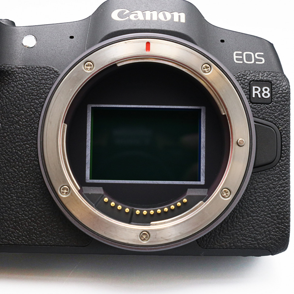 Canon EOS R8 (20.000 кадров)