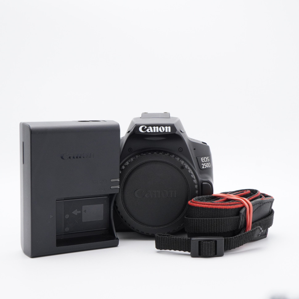 Canon EOS 250D body (61.000 кадров)