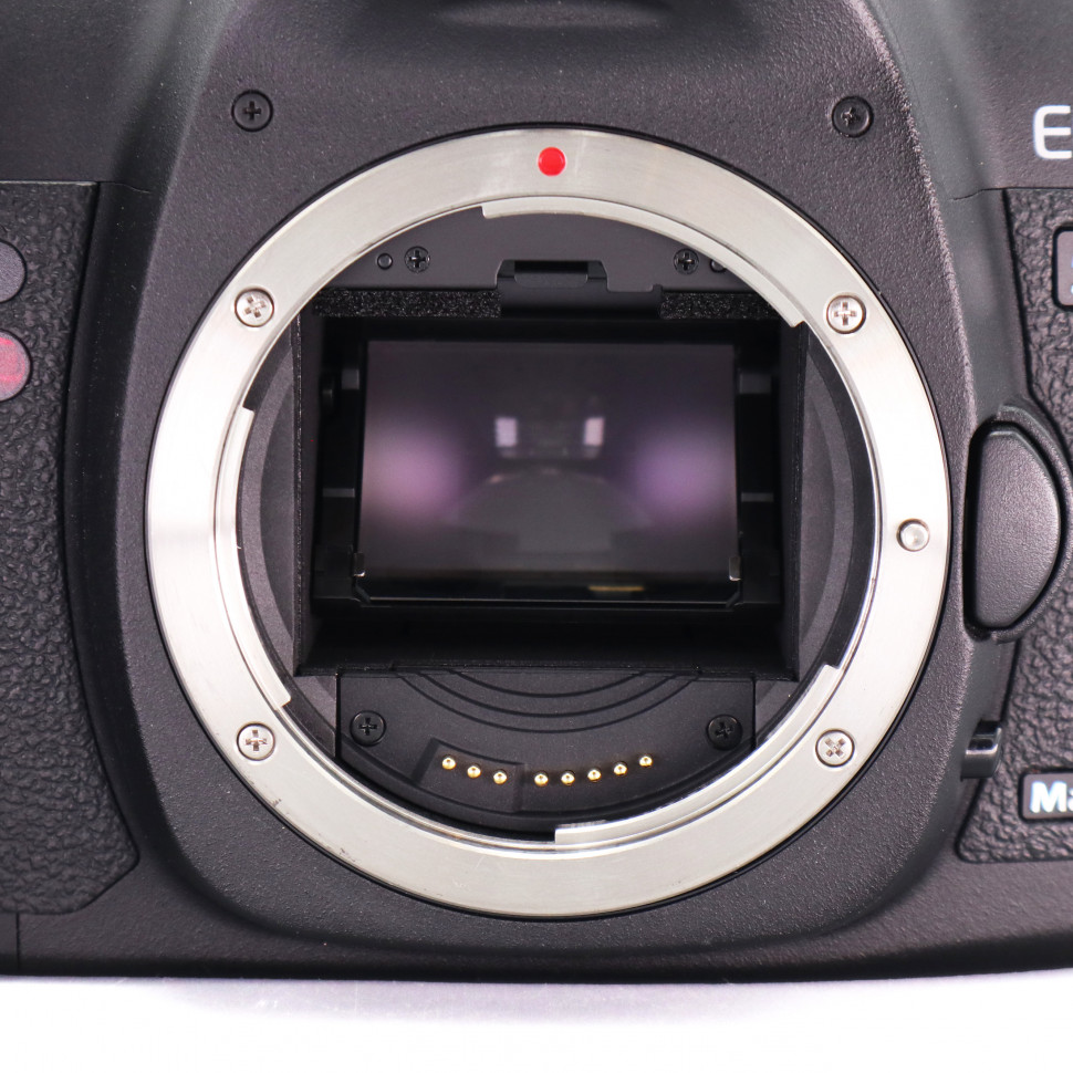Canon EOS 5D Mark II  (10.000 кадров)