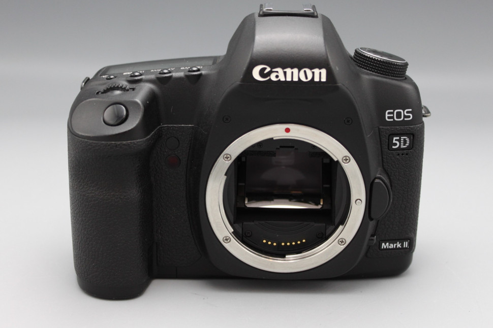 Canon EOS 5D Mark II  (34500 кадров)