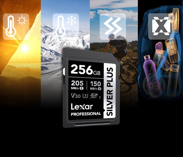 Карта памяти Lexar SDXC 256GB Professional Silver Plus UHS-I U3 V30 (205/150 MB/s)