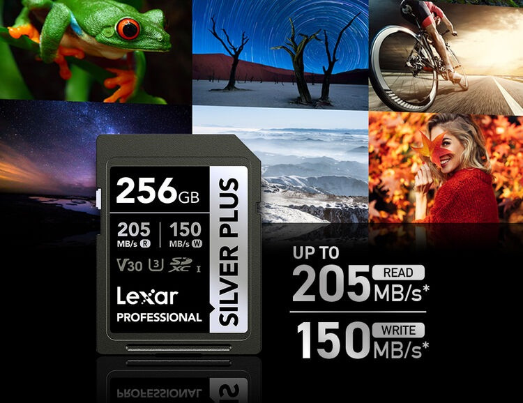 Карта памяти Lexar SDXC 256GB Professional Silver Plus UHS-I U3 V30 (205/150 MB/s)