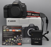 Canon EOS 5D Mark II (5.400 кадров)