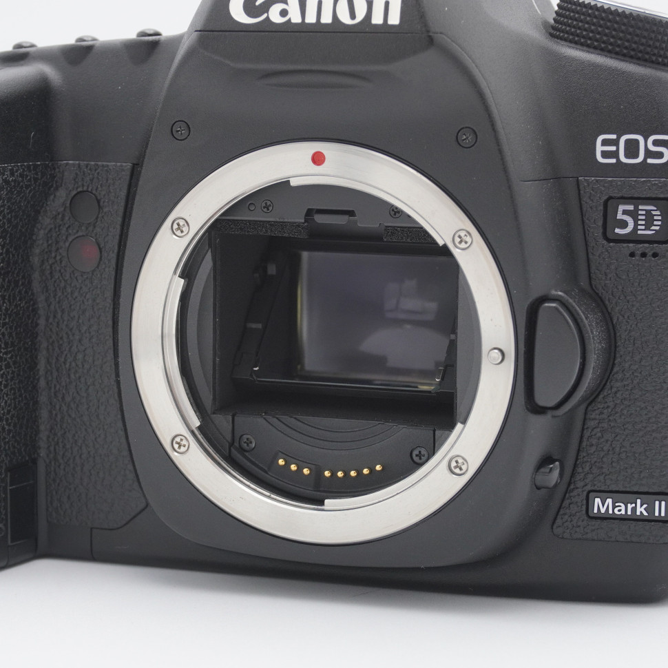 Canon EOS 5D Mark II  (98800 кадров)