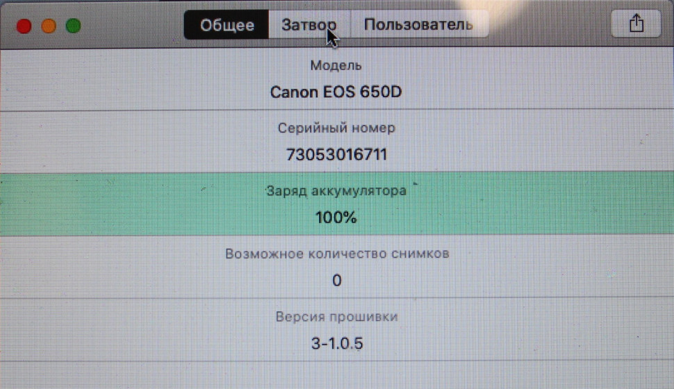 Canon EOS 650D (21.000 кадров)