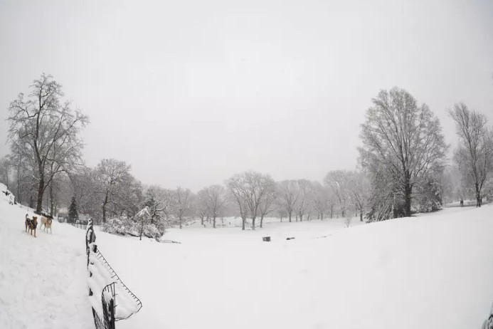 Sigma AF 15mm f/1.4 Fisheye DG DN Art For Sony E
