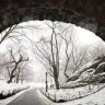 Sigma AF 15mm f/1.4 Fisheye DG DN Art For Sony E