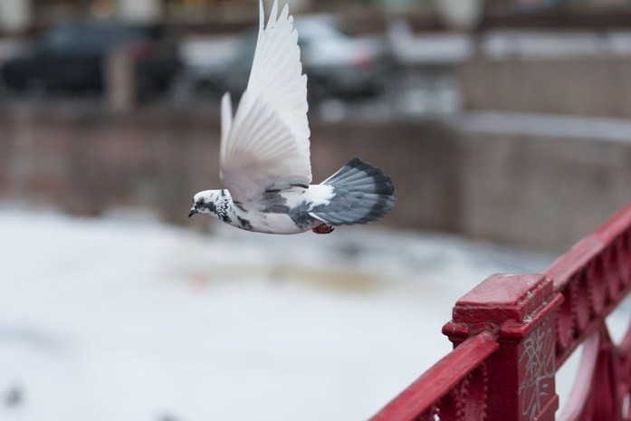 Sigma 85mm f/1.4 DG HSM Art L-Mount (витринный экземпляр)