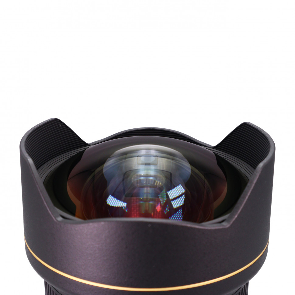 Nikkor AF-S 14-24mm f/2.8 G ED Nano SWM (состояние 5)